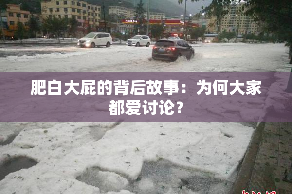 肥白大屁的背后故事：为何大家都爱讨论？