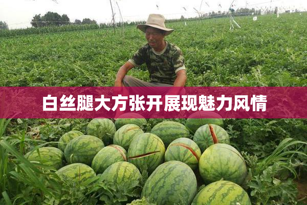 白丝腿大方张开展现魅力风情