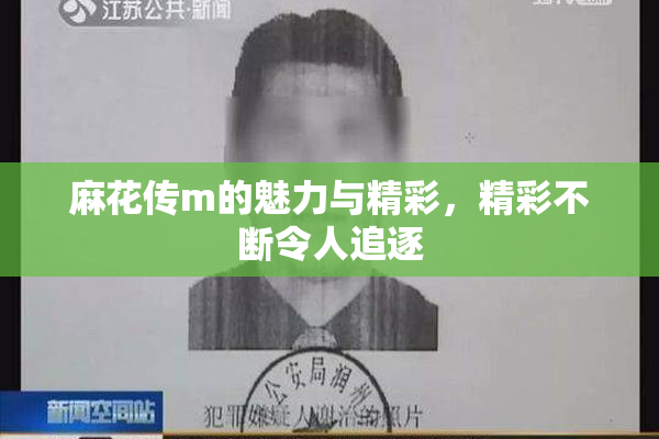 麻花传m的魅力与精彩，精彩不断令人追逐