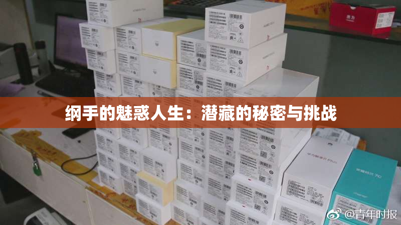纲手的魅惑人生：潜藏的秘密与挑战