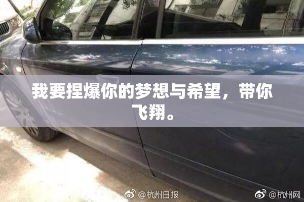 我要捏爆你的梦想与希望，带你飞翔。