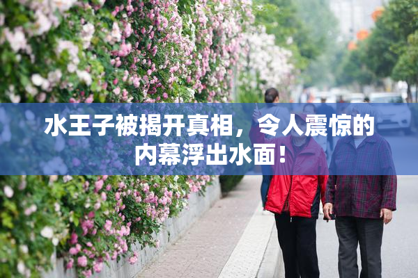 水王子被揭开真相，令人震惊的内幕浮出水面！