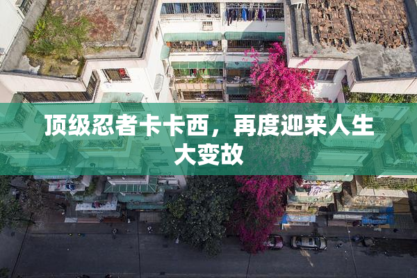 顶级忍者卡卡西，再度迎来人生大变故