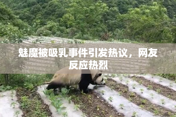 魅魔被吸乳事件引发热议，网友反应热烈