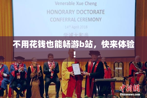 不用花钱也能畅游b站，快来体验！