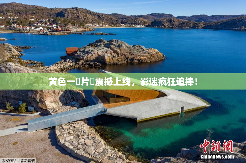 黄色一級片黃震撼上线，影迷疯狂追捧！