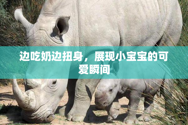 边吃奶边扭身，展现小宝宝的可爱瞬间