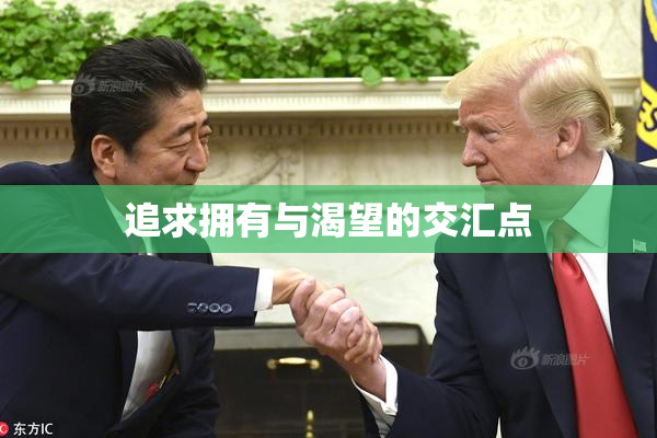 追求拥有与渴望的交汇点