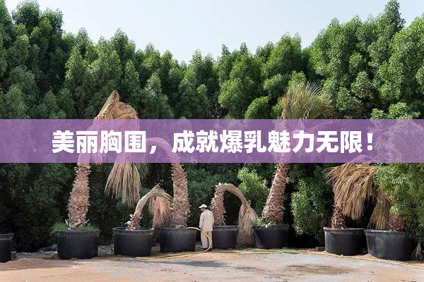 美丽胸围，成就爆乳魅力无限！