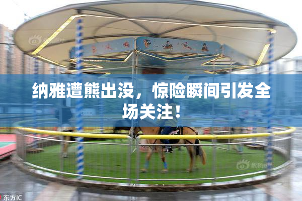 纳雅遭熊出没，惊险瞬间引发全场关注！