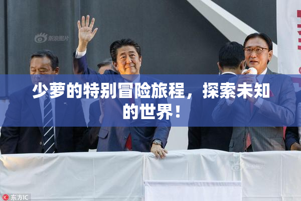 少萝的特别冒险旅程，探索未知的世界！