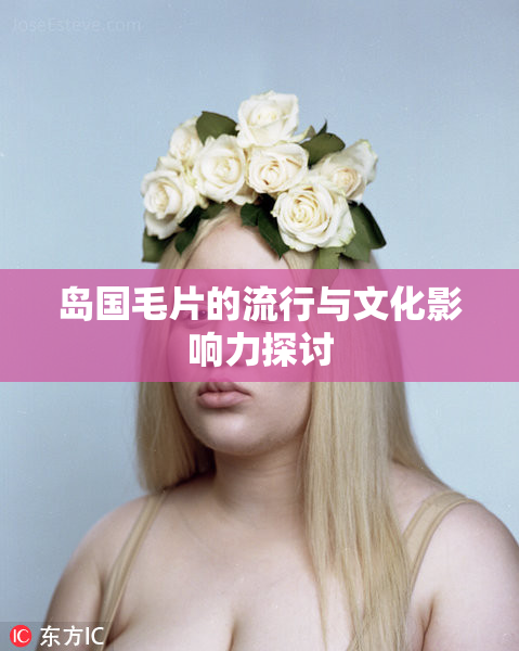 岛国毛片的流行与文化影响力探讨