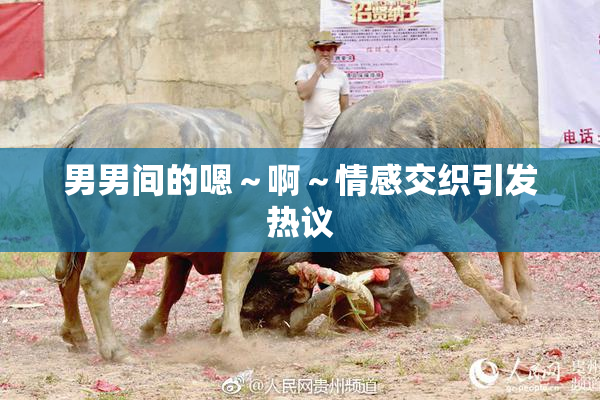 男男间的嗯～啊～情感交织引发热议