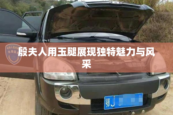 殷夫人用玉腿展现独特魅力与风采