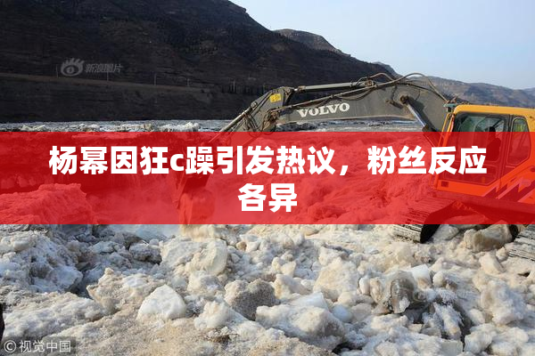 杨幂因狂c躁引发热议，粉丝反应各异