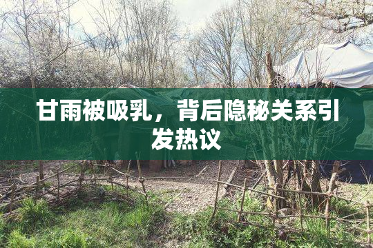 甘雨被吸乳，背后隐秘关系引发热议