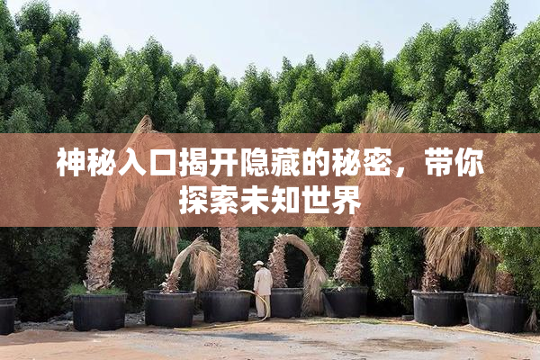 神秘入口揭开隐藏的秘密，带你探索未知世界