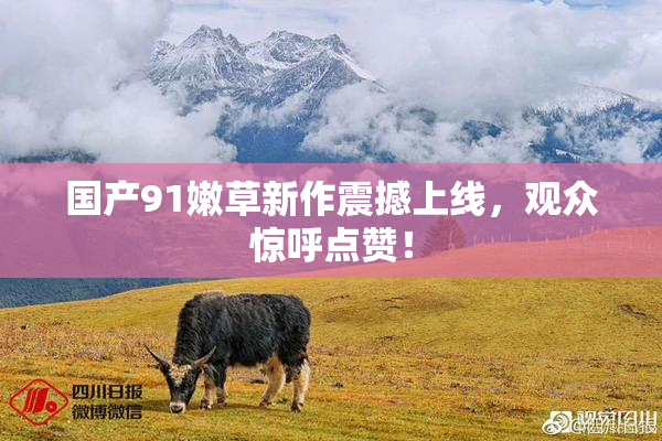 国产91嫩草新作震撼上线，观众惊呼点赞！