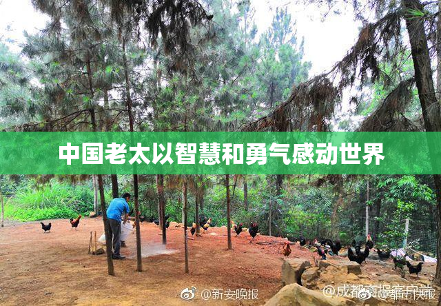 中国老太以智慧和勇气感动世界