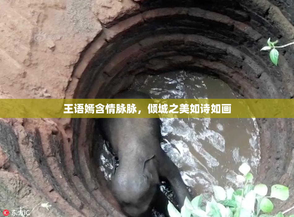 王语嫣含情脉脉，倾城之美如诗如画