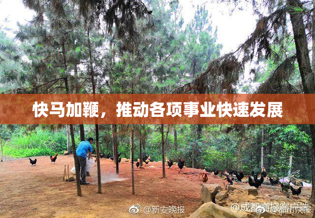 快马加鞭，推动各项事业快速发展