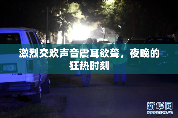 激烈交欢声音震耳欲聋，夜晚的狂热时刻