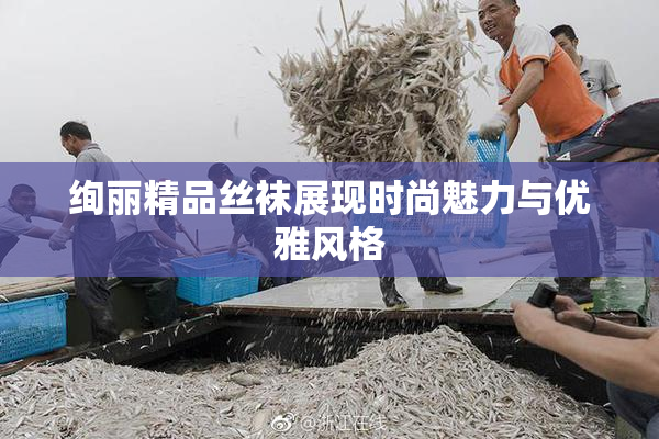 绚丽精品丝袜展现时尚魅力与优雅风格