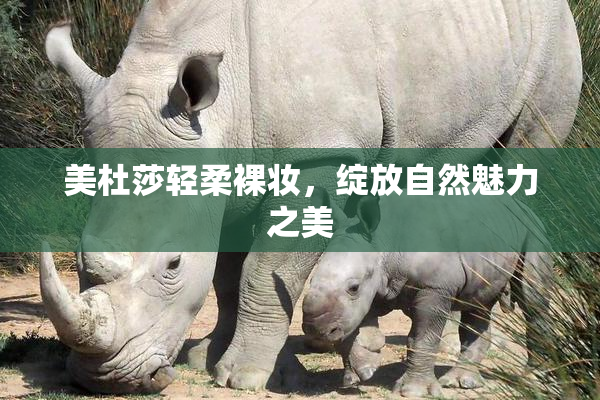 美杜莎轻柔裸妆，绽放自然魅力之美