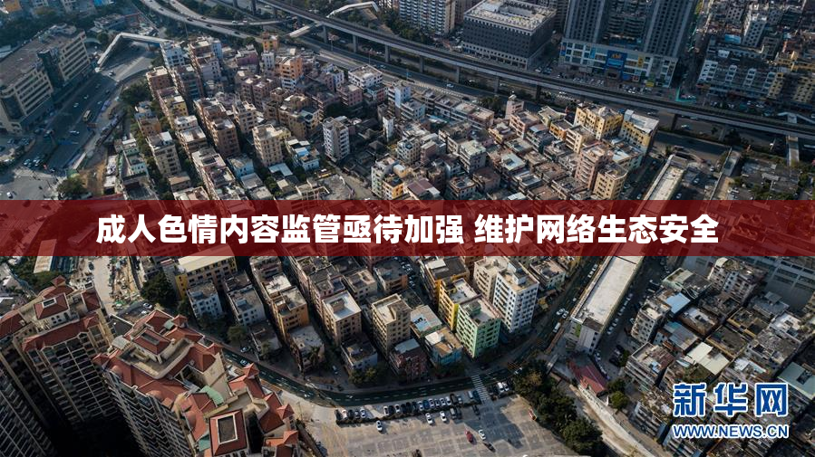 成人色情内容监管亟待加强 维护网络生态安全