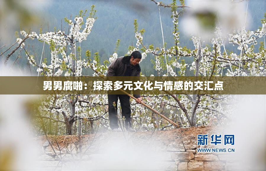 男男腐啪：探索多元文化与情感的交汇点