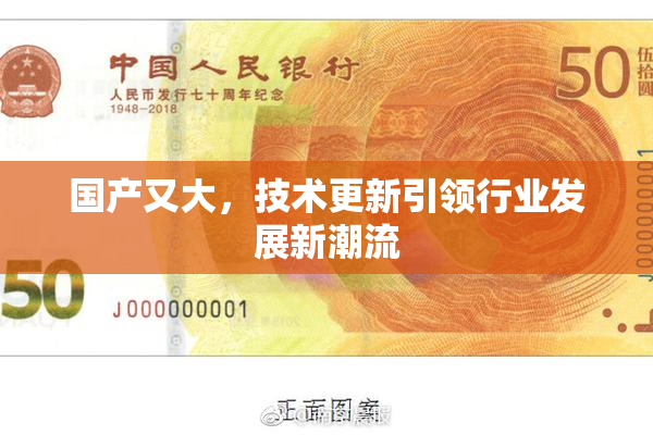 国产又大，技术更新引领行业发展新潮流