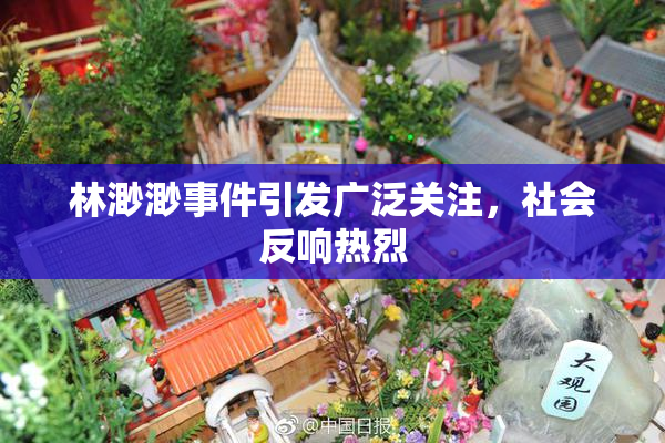 林渺渺事件引发广泛关注，社会反响热烈