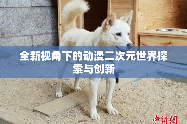 全新视角下的动漫二次元世界探索与创新