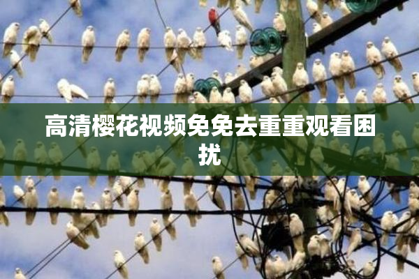 高清樱花视频免免去重重观看困扰