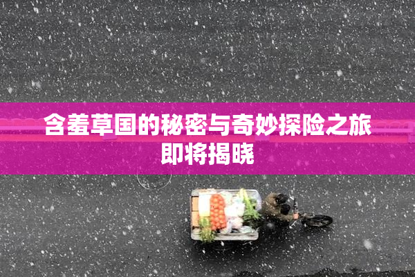 含羞草国的秘密与奇妙探险之旅即将揭晓