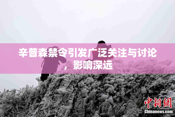辛普森禁令引发广泛关注与讨论，影响深远