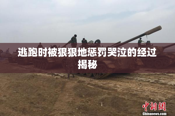 逃跑时被狠狠地惩罚哭泣的经过揭秘