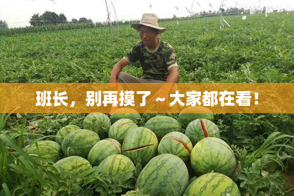 班长，别再摸了～大家都在看！
