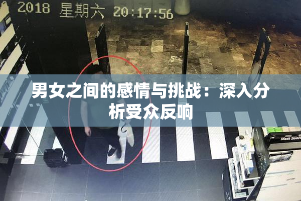 男女之间的感情与挑战：深入分析受众反响