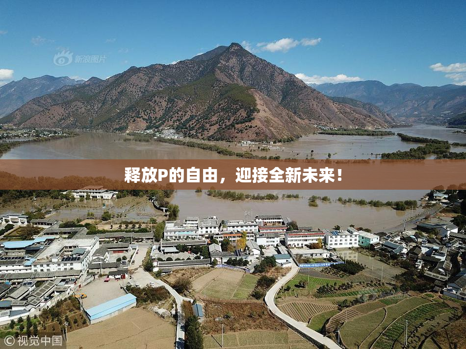 释放P的自由，迎接全新未来！