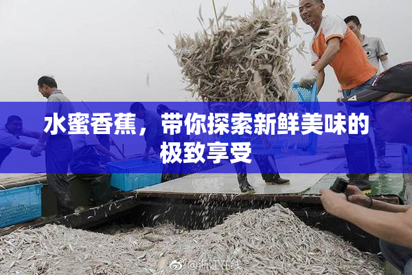 水蜜香蕉，带你探索新鲜美味的极致享受