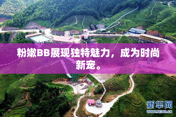 粉嫩BB展现独特魅力，成为时尚新宠。