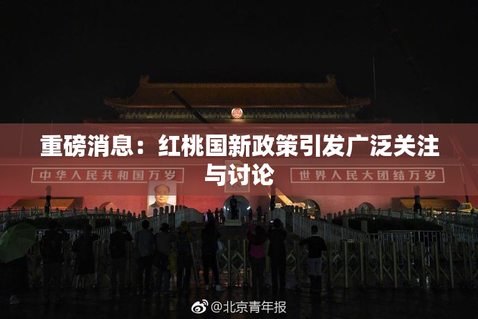 重磅消息：红桃国新政策引发广泛关注与讨论