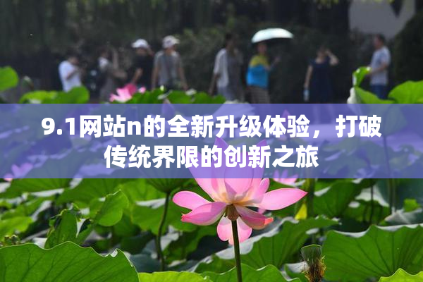 9.1网站n的全新升级体验，打破传统界限的创新之旅