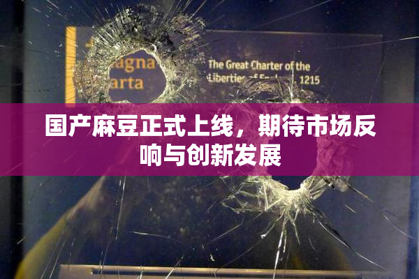 国产麻豆正式上线，期待市场反响与创新发展