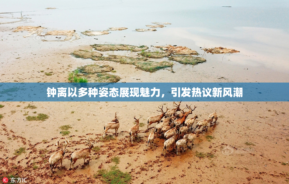 钟离以多种姿态展现魅力，引发热议新风潮