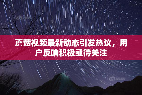 蘑菇视频最新动态引发热议，用户反响积极亟待关注