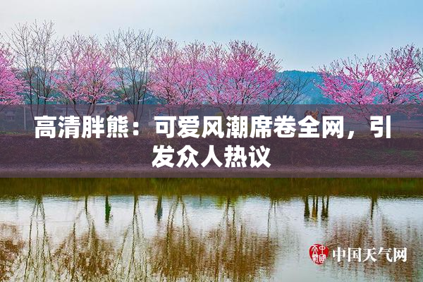 高清胖熊：可爱风潮席卷全网，引发众人热议