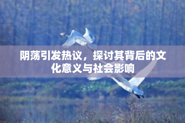 阴荡引发热议，探讨其背后的文化意义与社会影响