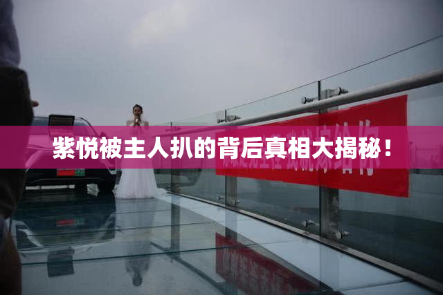 紫悦被主人扒的背后真相大揭秘！